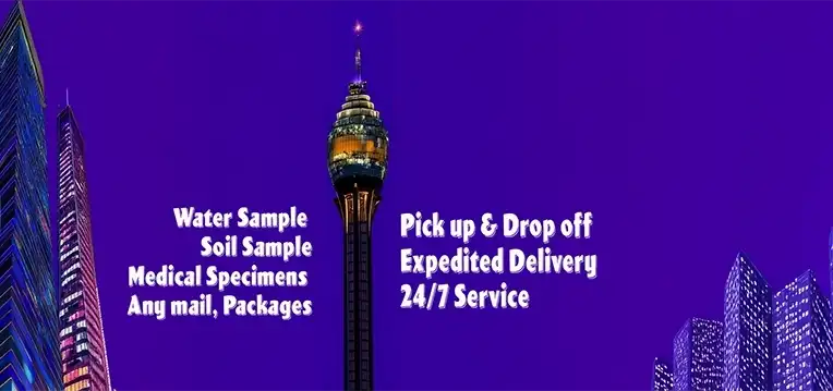 A lab technician working with environmental samples, representing Georgia's compliance needs